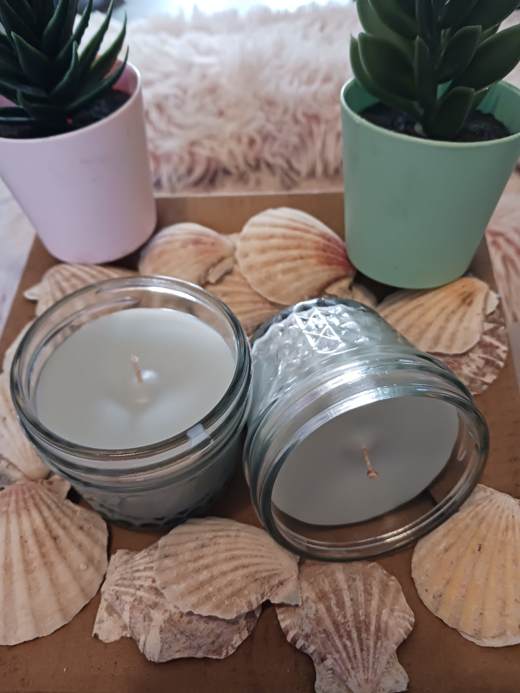 FIBROMYALGIA  Cleanse Me