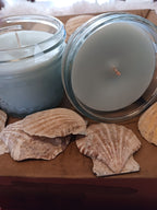 FIBROMYALGIA  Cleanse Me