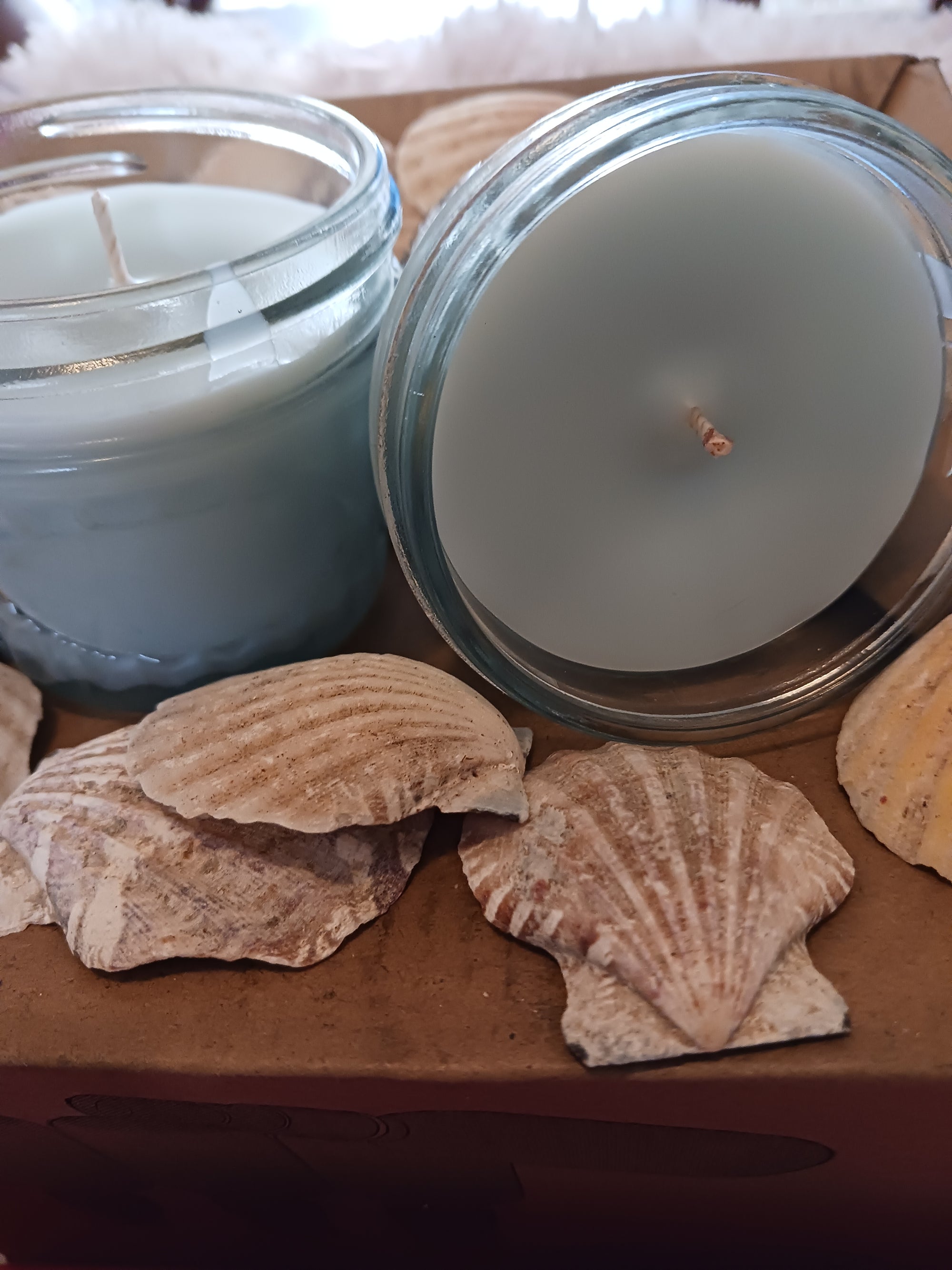 FIBROMYALGIA  Cleanse Me