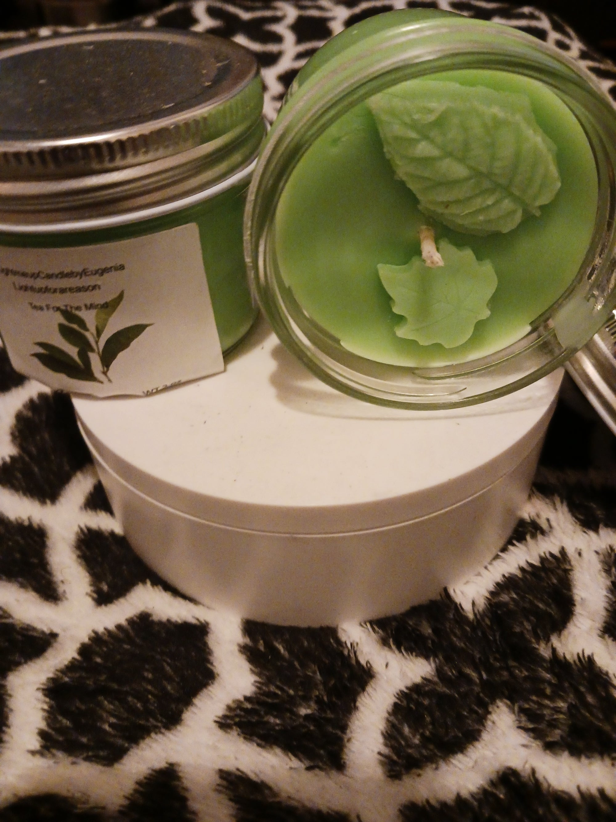 FIBROMYALGIA/ Emotion & Movement: Tomato Leaf